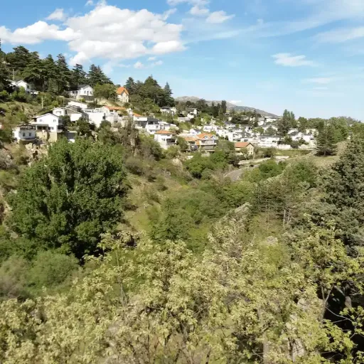 mirafloresimagenwebp